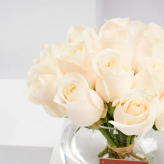 Floward Plush Panda with 20 White Roses Vase
