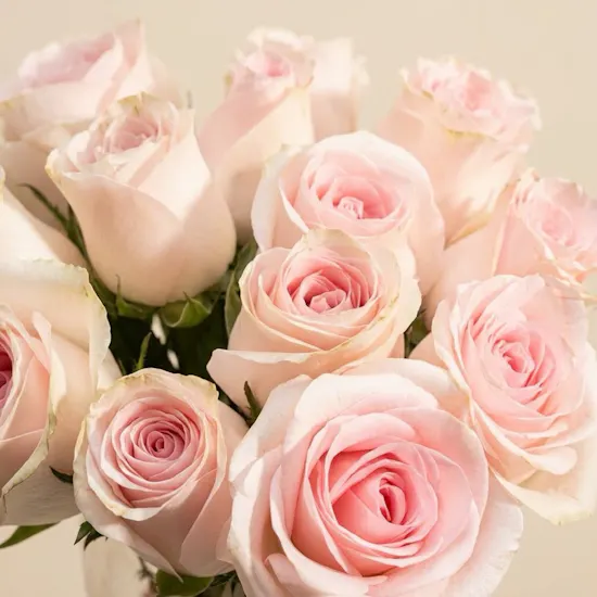 Blush Roses Vase