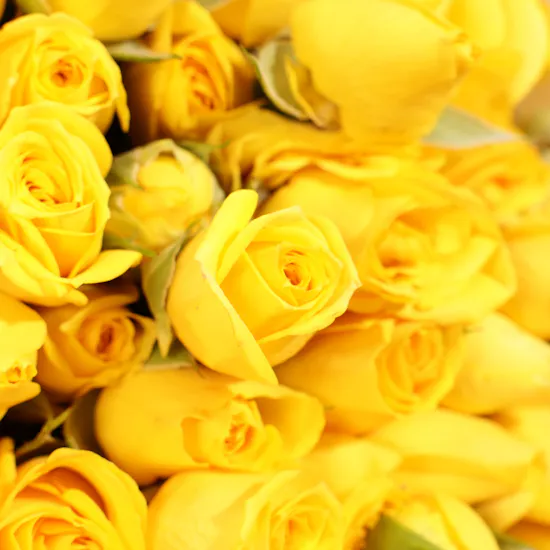 Sunny Delight Bouquet | Balloons