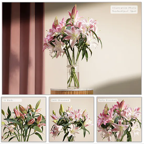 Blushing Pink Lily Bouquet | 18 Flowers