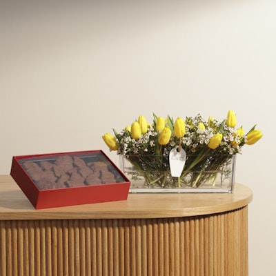 Hanoverian Gift | Yellow Tulips