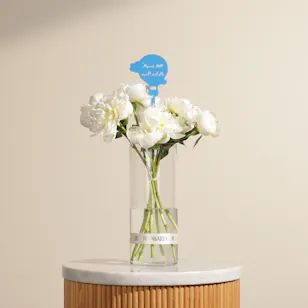 Welcome Little Prince Bundle