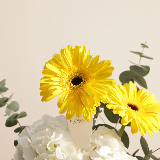 Blooming Grace Flower Vase