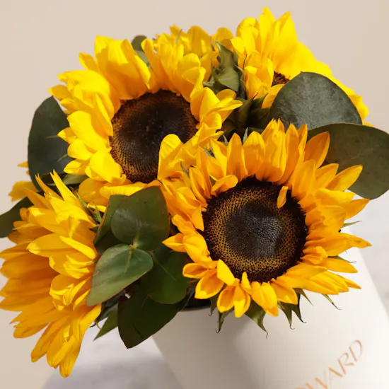 Soft Sunshine Flower Box | 10 Flowers