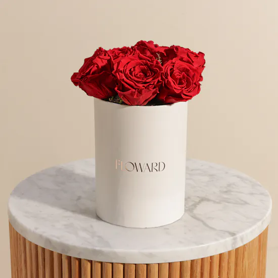 Preserved Red Roses Box