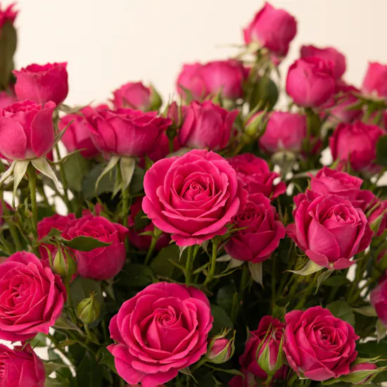 Fuchsia Flirt Flower Bouquet