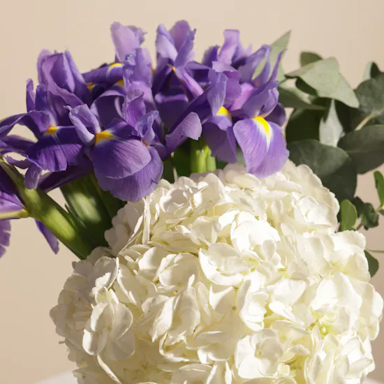 Sucre De Nada Pecan and Salted Carmel Chocolate Cake | Sunrise Flowers Vase