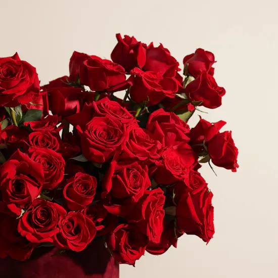 Heartbeat Red Roses Box