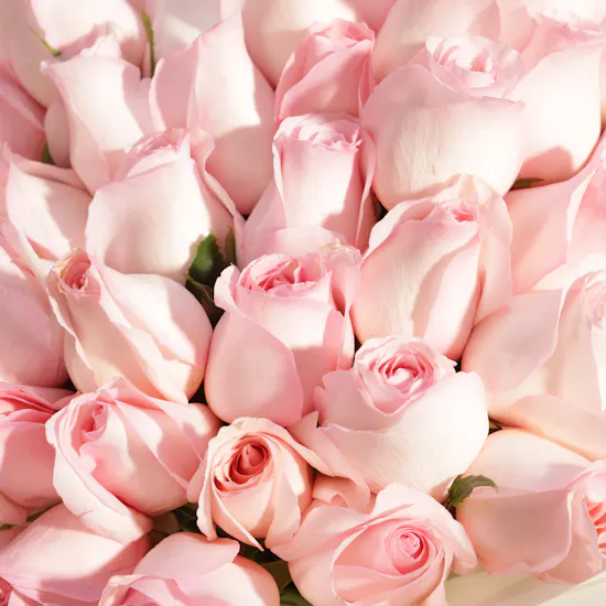 Pure Affection Pink Rose Bouquet