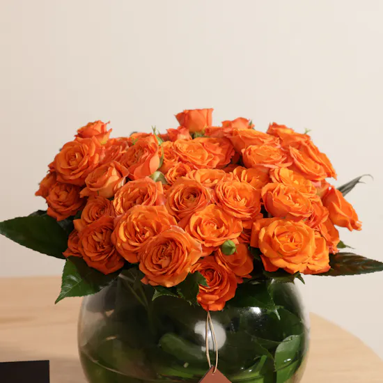 Optimo Membership for 12 months & Original Gloves | Flowers