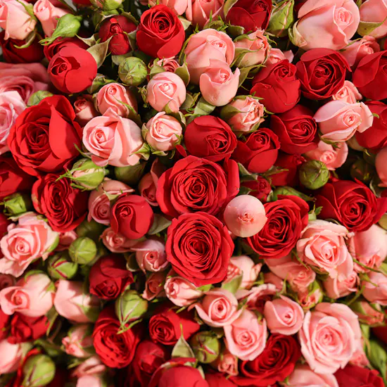 Majestic Harmony Blend Flowers Bouquet