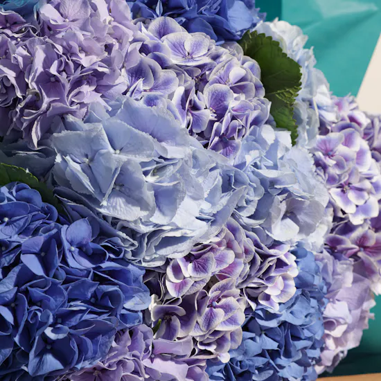 Blue Hydrangea Bouquet