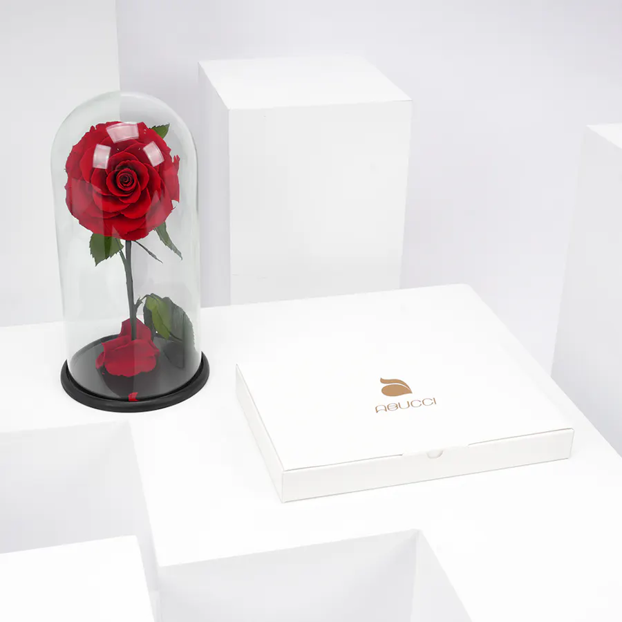 Abucci Chocolate Box | Everlasting Red Rose 1