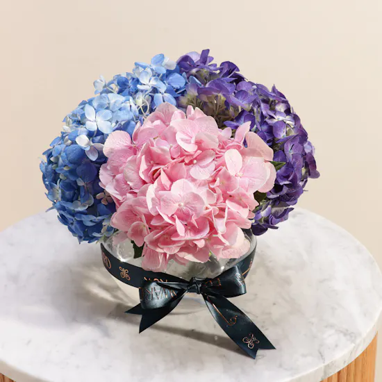 Colorful Hydrangea Vase