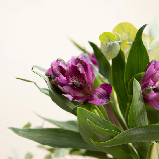 Stunning Flowers Vase