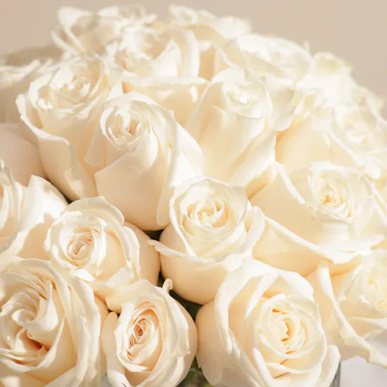 White Roses Garden Vase | 35 Roses