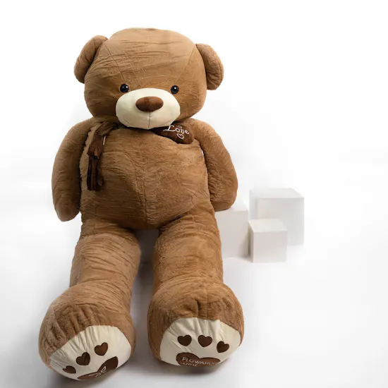Floward XL Brown Teddy Bear