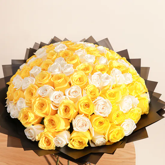 Bright Aura Roses Bouquet | 100 Flowers