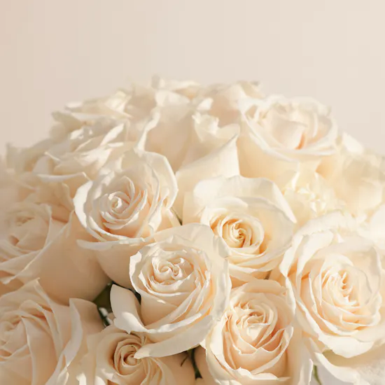 Mubkhar Amazonian Rain Candle | White Roses Vase