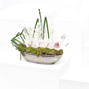 Elegant Flowers | Silver Tray