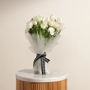 Lovely White Tulips