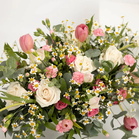 Blossoming Flowers