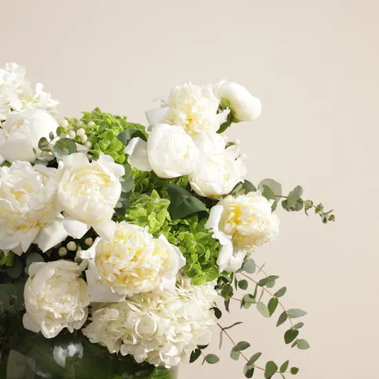 Peony Grace Harmony Vase