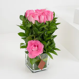 Rose Vibe