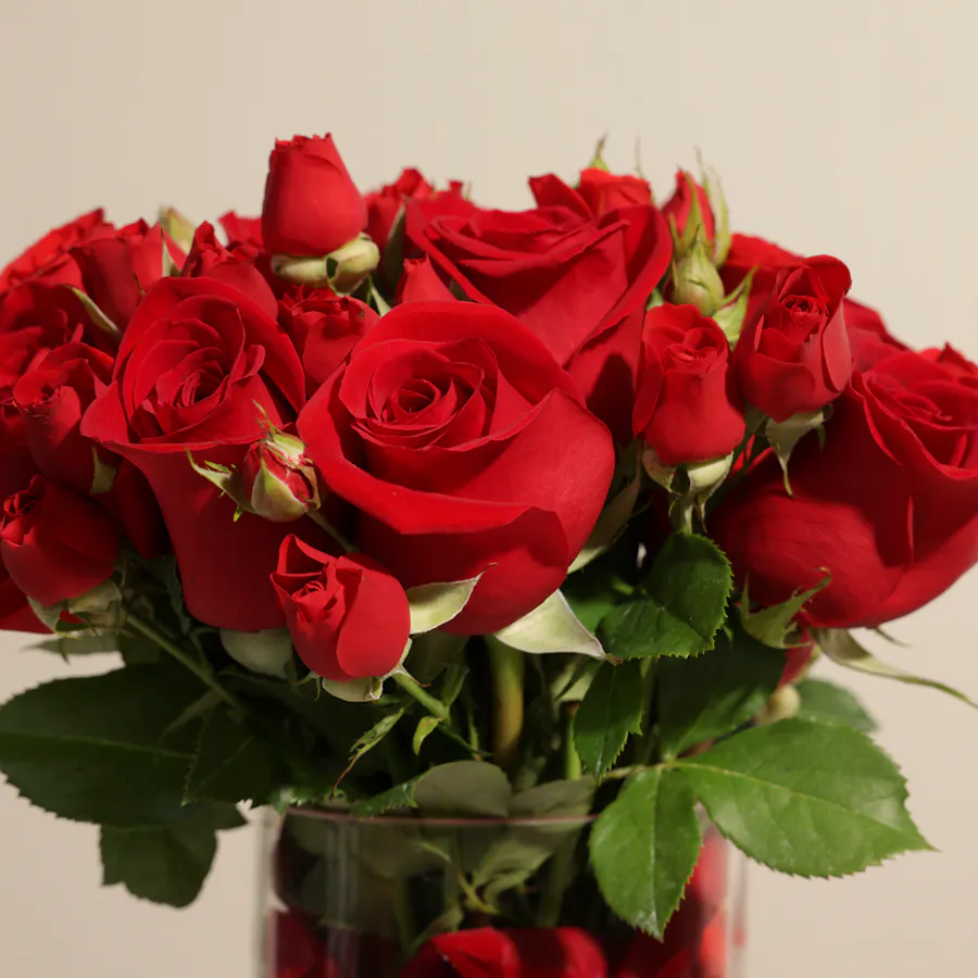 Red Roses Vase 2