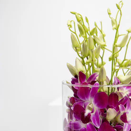 Baby Orchid Vase