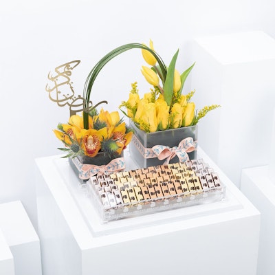 Abucci Chocolate | Yellow Blooms