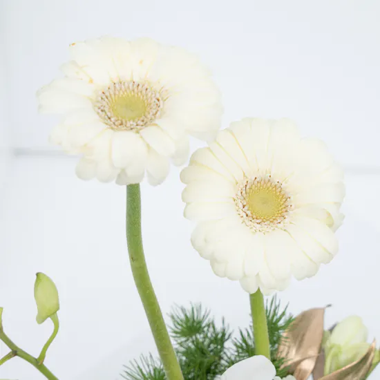 Haj Gift | 25 Floward Chocolates Tray with Flowers