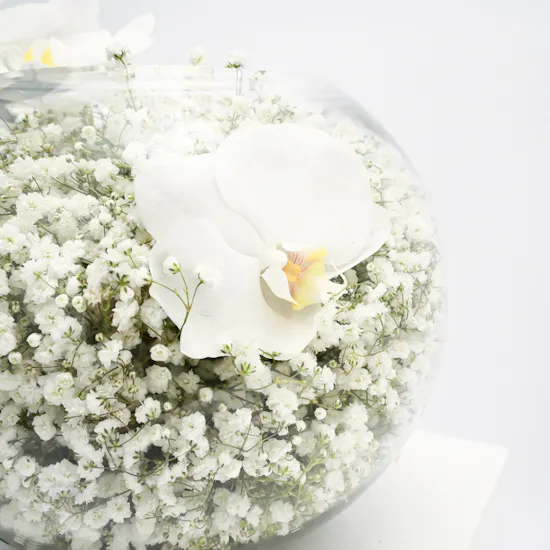 Pure White Floral Vase