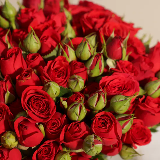 Red Baby Roses Vase | 35 Flowers
