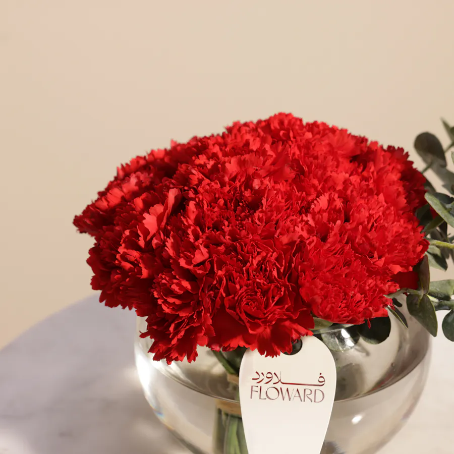 Red Carnation Vase 2