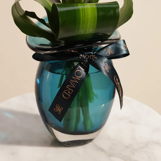 Quiet Expression Tulip Vase