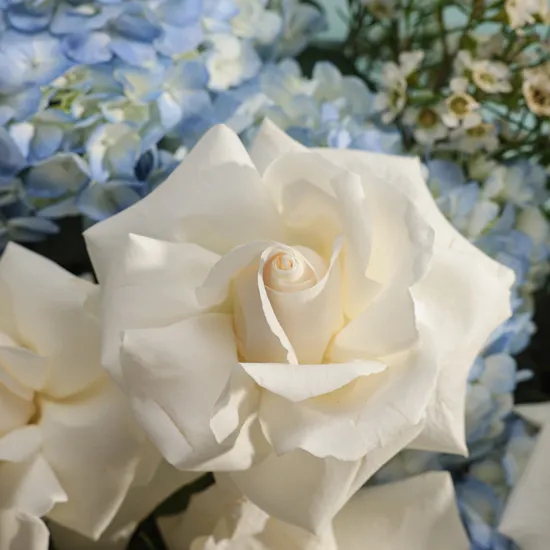 Pearl Essence Flowers Bouquet