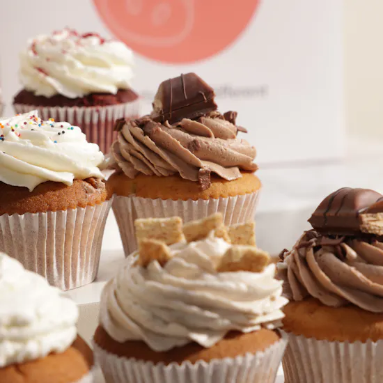 SugarMoo Assorted Cupcake Set