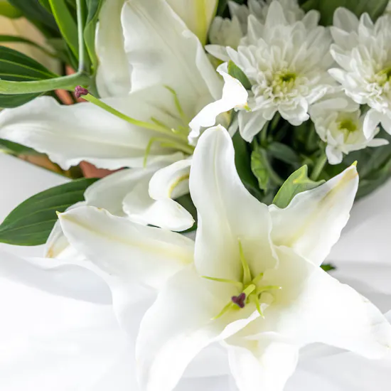 White Gladiolus Bouquet