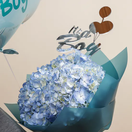 A Little Wonder Baby Boy Gift Set