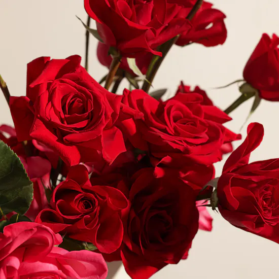 Red and Fuchsia Roses Box