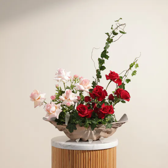 Enchanted Roses Vase