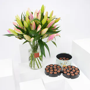 Hanoverian Mix Chocolate Box with Pink Lilies Vase Hanoverian Mix Chocolate Box with Pink Lilies Vase
