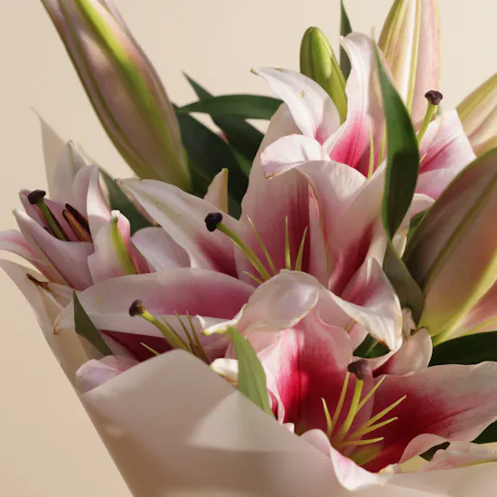 Lush Pink Lily Bouquet | 8 Flowers