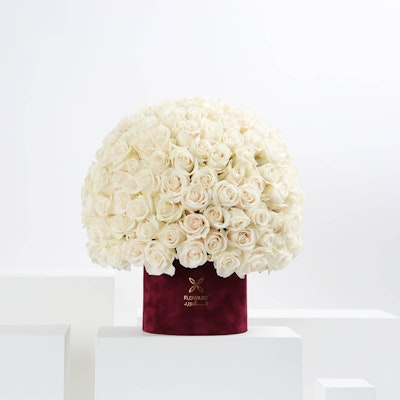 Giant | White Roses & Velvet Box