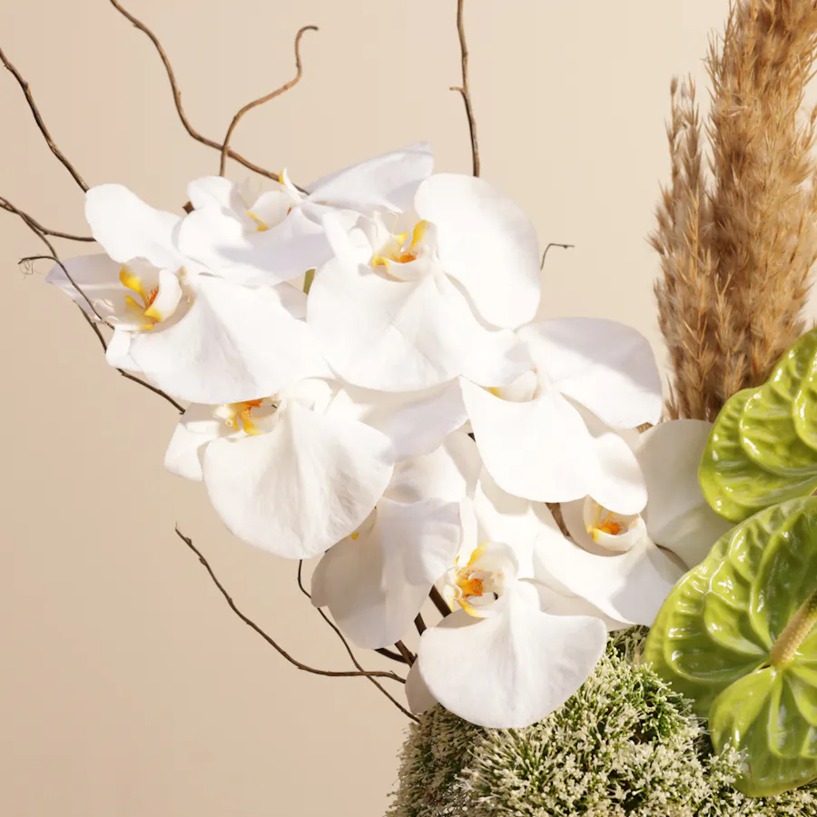 Stunning Nature | Keramos Ceramic Vase 3