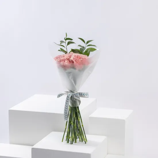 Blush Elegance | Carnation Bouquet