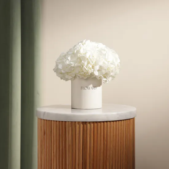 Dreamy White Hydrangea Box | 6 Flowers
