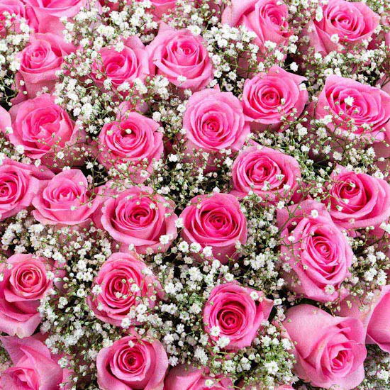 Pink Floral Heart | I Love You