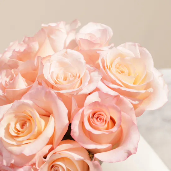 Pink Roses Whisper Box | 15 Roses